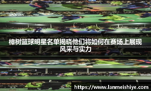 必一运动B·Sport
