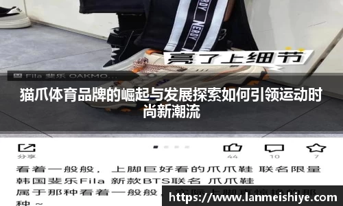猫爪体育品牌的崛起与发展探索如何引领运动时尚新潮流